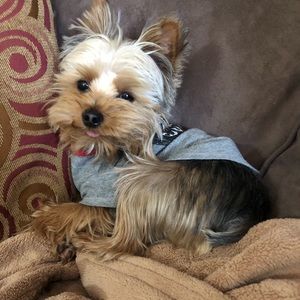 Meet your Posher, Haley